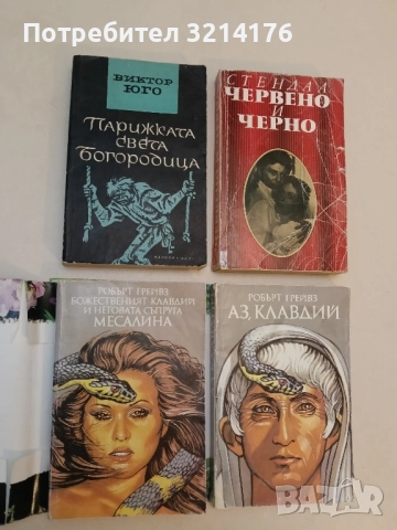 Парижката Света Богородица - Виктор Юго