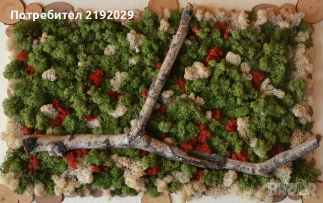 ПАНО СЪС СКАНДИНАВСКИ МЪХ, снимка 2 - Пана - 51337984