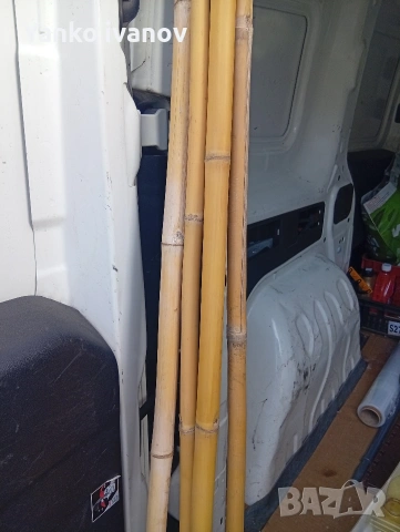 Бамбук, снимка 2 - Декорация за дома - 53614596