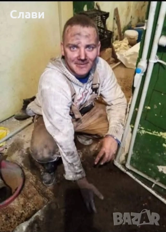 Рязане на високи и опасни дървета , снимка 2 - Други услуги - 53395660