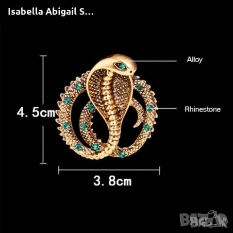 Брошки - котка, змия, грозде, водно конче, калинка, снимка 9 - Други - 31805865