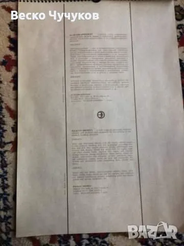 Календар Балканкаримпекс от 80-те години на XX век, снимка 9 - Антикварни и старинни предмети - 49096859