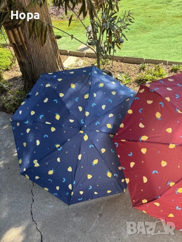 Сгъваеми чадъри с лимони и ягоди , снимка 5 - Други - 53750480