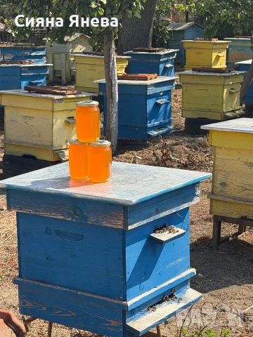 Чист Пчелен Мед, снимка 6 - Пчелни продукти - 55799544