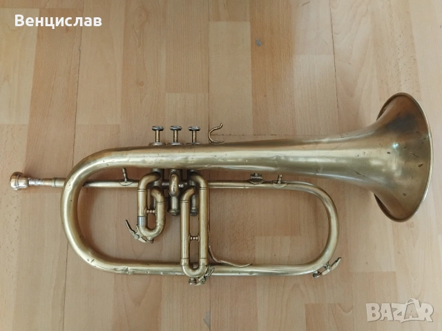 Флигорна  Couesnon 