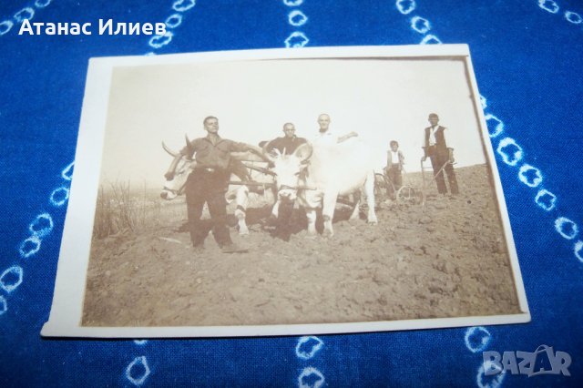 Стара картичка-снимка Бояна 1928г.