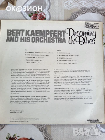 Грамофонни плочи разнообразие 12, снимка 2 - Грамофонни плочи - 50758239