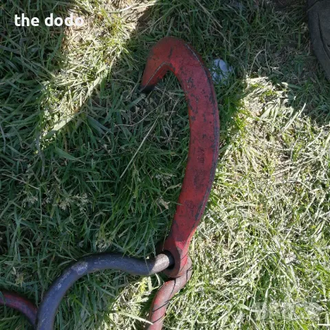 куки за Дървесни трупи Dominicus remsheid, снимка 6 - Такъми - 50331910