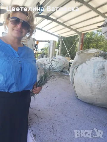 Етерично масло от семена на сладко и горчиво резене, снимка 4 - Други - 47389773