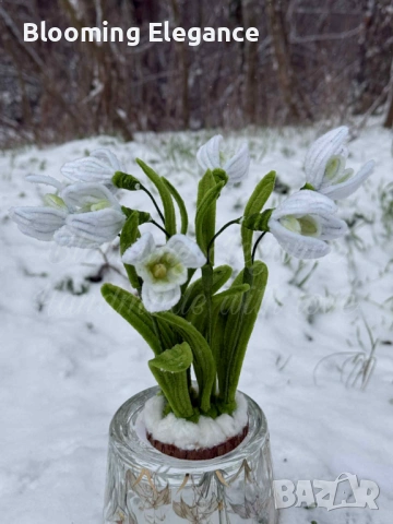 Вечни кокичета