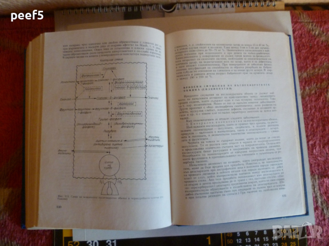 "Детски болести" Учебник за студенти медици, снимка 5 - Специализирана литература - 36356974