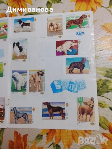 Албум за стикери Chipita Game картинки с кученца, снимка 8 - Колекции - 53524213