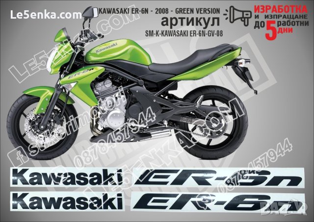 KAWASAKI ER-6N GREEN VERSION 2008 ER-6N-GV-08