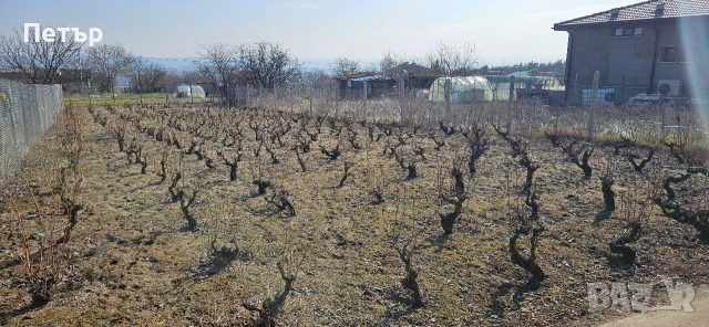 парцел , снимка 2 - Парцели - 53662679