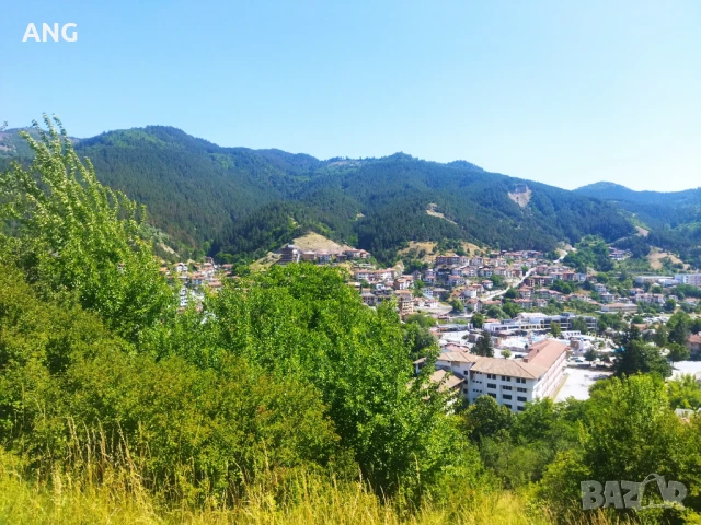 Продава парцел в гр.Девин , снимка 2 - Парцели - 50804650