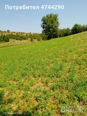 Тухлена къща със селскостопански постройки, снимка 10 - Къщи - 53572368