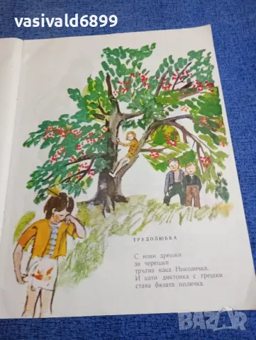 Цветан Ангелов - Весели залъгалки , снимка 6 - Детски книжки - 48466462