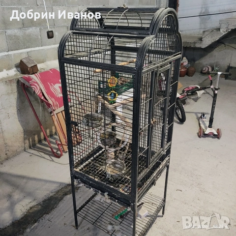 Клетка за големи папагали , снимка 3 - Папагали - 53607544