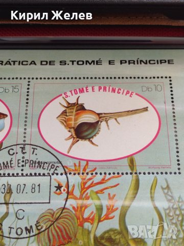 Пощенска блок марка РАКОВИНИ екзотични много красиви за КОЛЕКЦИЯ 10761, снимка 4 - Филателия - 40455014