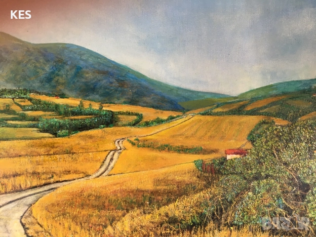 Гледка към Витоша, снимка 2 - Картини - 52806364