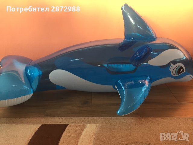 Делфин,пояс и жилетка, снимка 4 - Почивки на море - 41616372