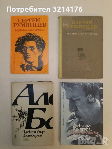 Отвъд сините планини - Александър Бандеров (Отлично състояние)