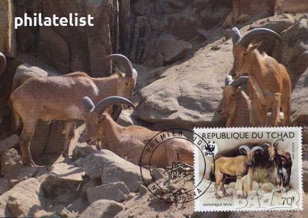 Чад 1988 - 4 броя Карти Максимум - WWF, снимка 4 - Филателия - 38842323