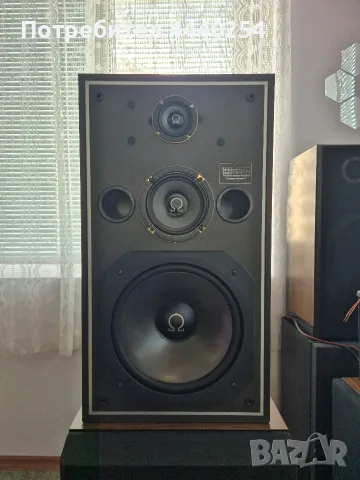 Pioneer ASL 2500, снимка 9 - Тонколони - 55843495