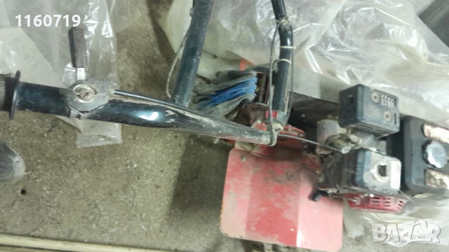 мотогреза Гардения