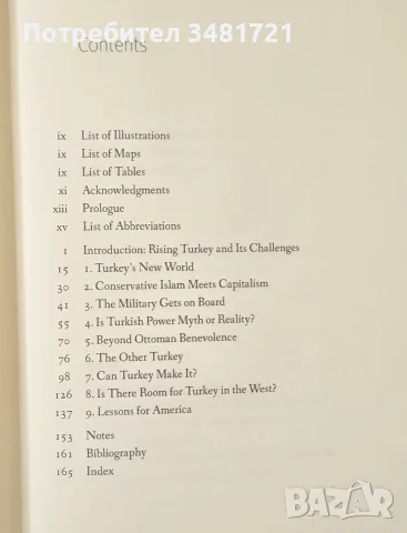 The Rise of Turkey. The Twenty-First Century's First Muslim Power, снимка 2 - История, политика и общество - 55963980