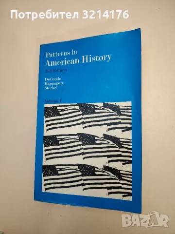 A Brief History of the American People — David Chalmers, Makoto Saito, снимка 4 - Специализирана литература - 47892527