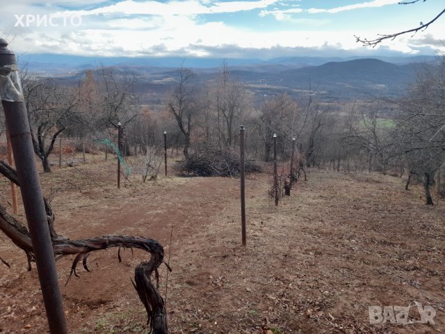 Вила на тихо и спокойно място сред природата, прекрасна гледка чист въздух. , снимка 9 - Къщи - 39572610