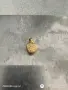 Нова златна висулка ❤️, снимка 2
