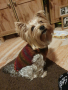 Плетени дрешки за кучета М размер, снимка 3