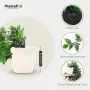 PLANTASPOD Изкуствени висящи растения със саксии (2 броя), снимка 3