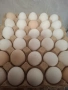 домашни яйца , снимка 2