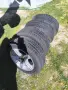 зимни гуми 215\60/16, снимка 2
