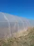 Продавам оранжерии, снимка 4