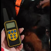 Електронен нашийник за обучение с дистанционно, снимка 6 - За кучета - 35909239