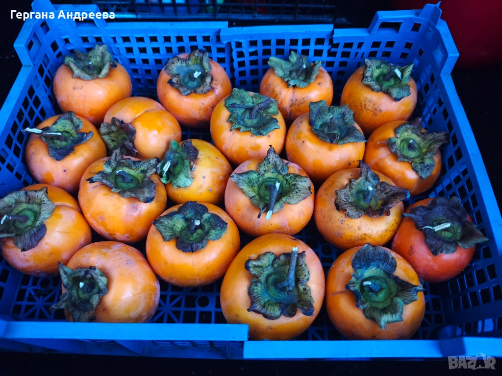 Продавам Райски ябълки  3 лв. , снимка 1