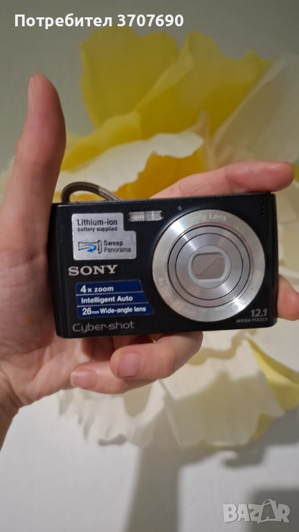 Sony Cybershot DSC-W510, снимка 1
