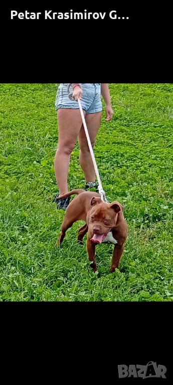 МАЯ НА 9 МЕСЕЦА!!!!, снимка 1