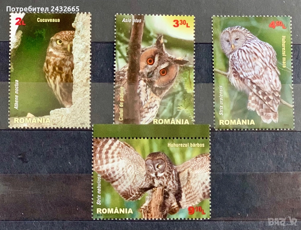 3770. Румъния 2013 - “ Фауна. Нощни грабливи птици.”, **, MNH, снимка 1