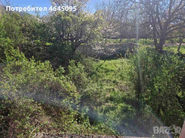 Двуетажна къща с двор и гледка към Балкана – село Тъжа, снимка 15 - Къщи - 52337664