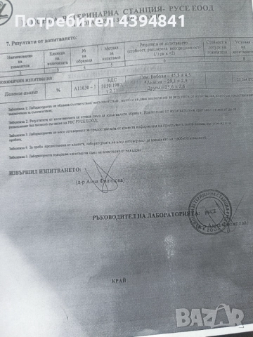 Акациев пчелен мед, снимка 3 - Пчелни продукти - 49270712