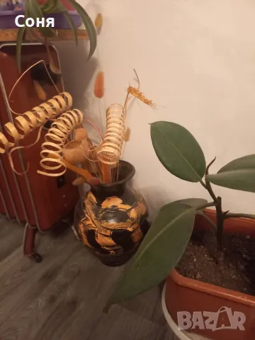 Вази, снимка 8 - Вази - 19790952