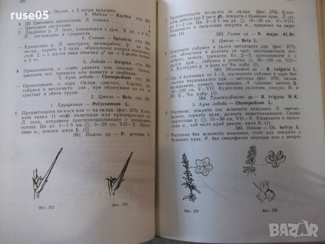 Книга "Екскурзионна флора на България-Стою Вълев" - 736 стр., снимка 5 - Енциклопедии, справочници - 36312417