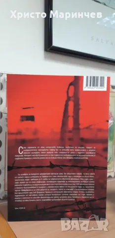 Втората история на нацизма във Федерална Германия след 1945 година, снимка 2 - Художествена литература - 48317987