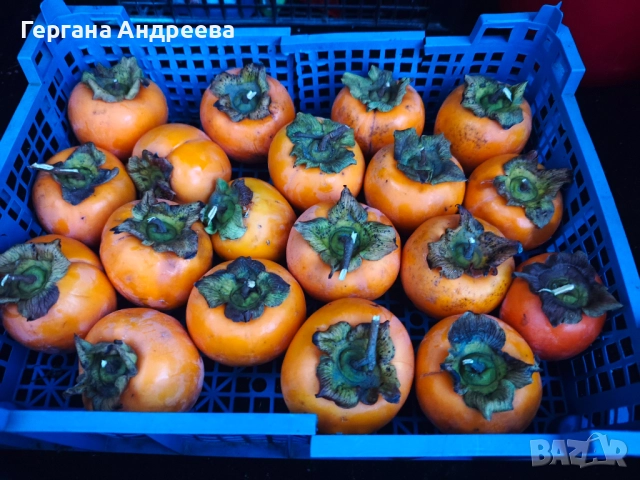 Продавам Райски ябълки  3 лв. 