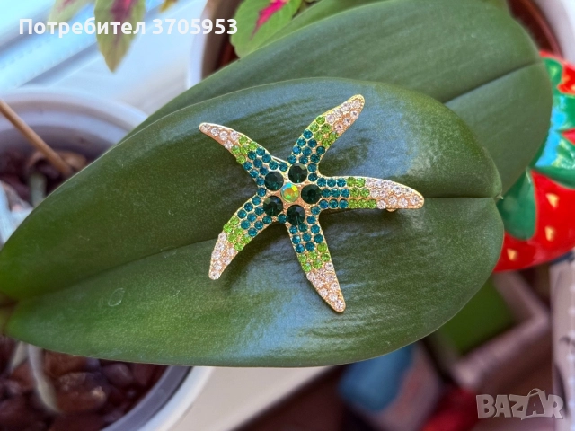 Нови брошки от 4лв., снимка 3 - Други - 52786793